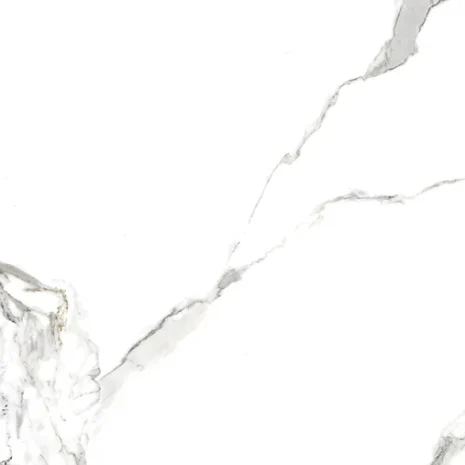 CONSTELATION-P1 CONSTELATION-P1