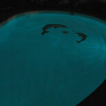 Fosvit-Acquazul-fr-y4XQaKxzF4Yh2hxZ