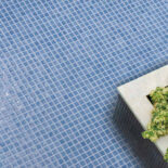 Iridis-21-fr-AV9MlpgdLxx0nvWM