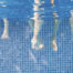 Iridis-21Fosvit-fr-F4sYF219pQdc6QBn