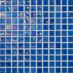 iridis-24