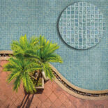 Iridis-31-fr-bneobCL4LdCXohX4