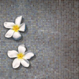 Iridis-63-fr-xgt3fUoBZxLuXN5r