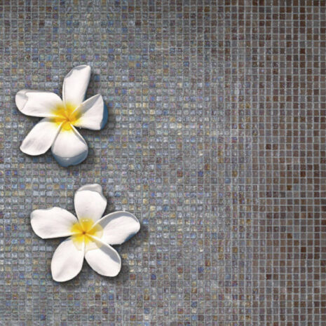 Iridis-63-fr-xgt3fUoBZxLuXN5r Iridis-63-fr-xgt3fUoBZxLuXN5r