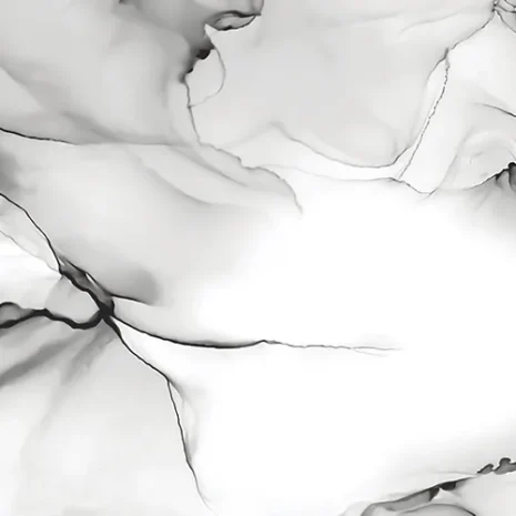 POLARIS-WHITE_F6 POLARIS-WHITE_F6