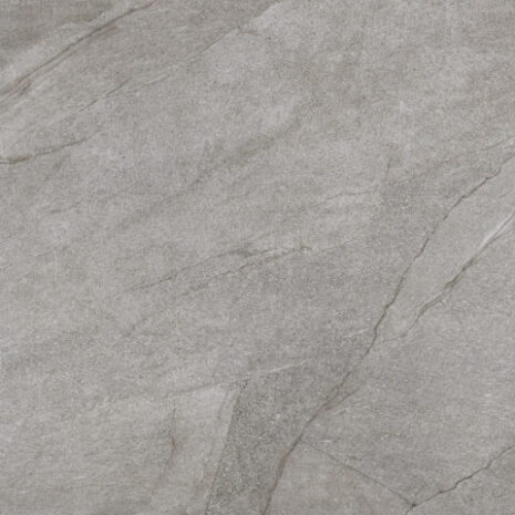 HALLEY-SILVER-100x100-1 HALLEY-SILVER-100x100-1