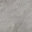 HALLEY-SILVER-100x100-1