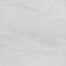 HALLEY-WHITE-100x100-1